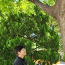 광고회사장원 - 달성군 헐티로 1292 | 광고회사장원