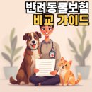 영국동물병원 | 반려동물 보험 비교 총정리｜가입 전 꼭 확인해야 할 5가지 체크리스트🐾