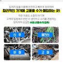 금원유통 이미지
