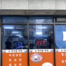 제주시 조천읍 맛집 뉴청석골칡냉면