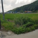 삼산면-2 이미지