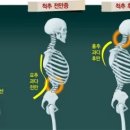 바디짐 티스토리