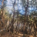 CU 춘천퇴계공단점 이미지