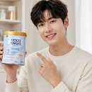 코코엔젤 분유포트 후기 실사용 중심으로 정리