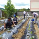 무을초등학교 이미지