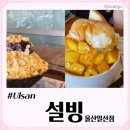 테라스파크 설빙 울산일산점 킹망고설빙, 팥인절미설빙