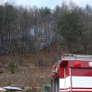 무릉도원면-28 이미지