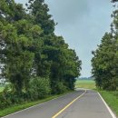 말무리목장 이미지