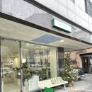 (원데이) 그린 플랜트 이미지