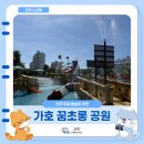물초울공원(수변) | 7월 진주 아이와 가볼만한곳 가호 꿈초롱공원 물놀이장 예약 방법 및 이용 후기