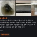 중랑구 면목동 삼성 무풍 벽걸이 에어컨 청소