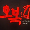 낭만오징어 이미지