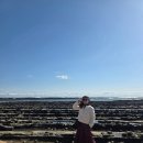 도깨비공원_CCTV폴대_#1 | 미야자키 가볼만한곳 아오시마 맛집 도깨비빨래판