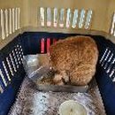 화봉지하차도 이미지