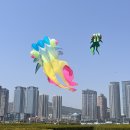 260426_중국 대련마라톤대회_하프(176회)_sub2_마라닉 이미지