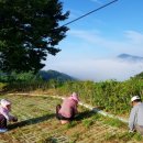 쑥티마을 이미지