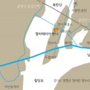 젤라떼리아빤나 이미지