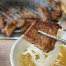 왔다맛집 이미지