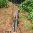 진명농장 이미지