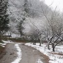 가인야영장 이미지