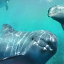 호텔 씨크릿(Hotel Secret) 이미지