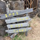 크리스마스애월 민박 이미지