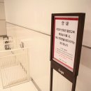 도그필드 이미지