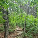 구봉산셀프주유소 이미지