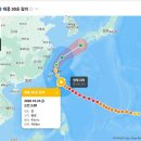 오늘자 30호 태풍 참피 근황 이미지