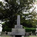 3.1운동비 이미지