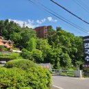 뜰안에 칼국수 이미지