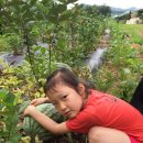 승지농장 이미지