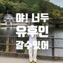 고속터미널앞 | 온천 못 가는 사람의 당일치기 유후인 여행 후기｜1. 텐진 고속버스 터미널 ~ 유후인 역 앞 버스 센터 가기