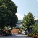 cu원주황둔점 이미지