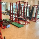 변현선의 풀바디짐 이미지