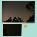 성한목장 Daum카페