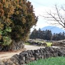 추사 유배길 - 1코스 집념의 길 이미지