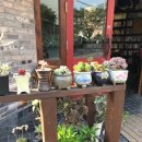 카페서정시대