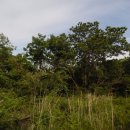 남원읍-2 이미지