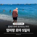 [엄마랑 이탈리아 여행🇮🇹 로마 5일차] 박재벌의남부투어 내돈내산 솔직후기