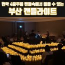 담빛시네콘서트 <지브리 OST 캔들라이트> | 부산 해운대 캔들라이트 지브리 OST 공연 관람 후기 이색데이트