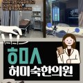 허미숙애견 네이버블로그