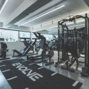 이볼브 트레이닝 이미지