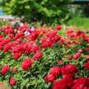 상3주민지원센터 이미지