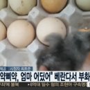 알 - 강릉시 창해로 423 | 알