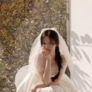 차리플라워 이미지