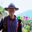 산중 멋쟁이의 블루스 자연인 성심 이미지