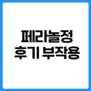 페라놀정 내돈내산 후기 복용법, 부작용, 성분까지