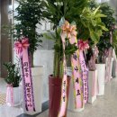 늘푸른흑염소2농장 이미지