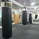 SH 다이어트 복싱 이미지